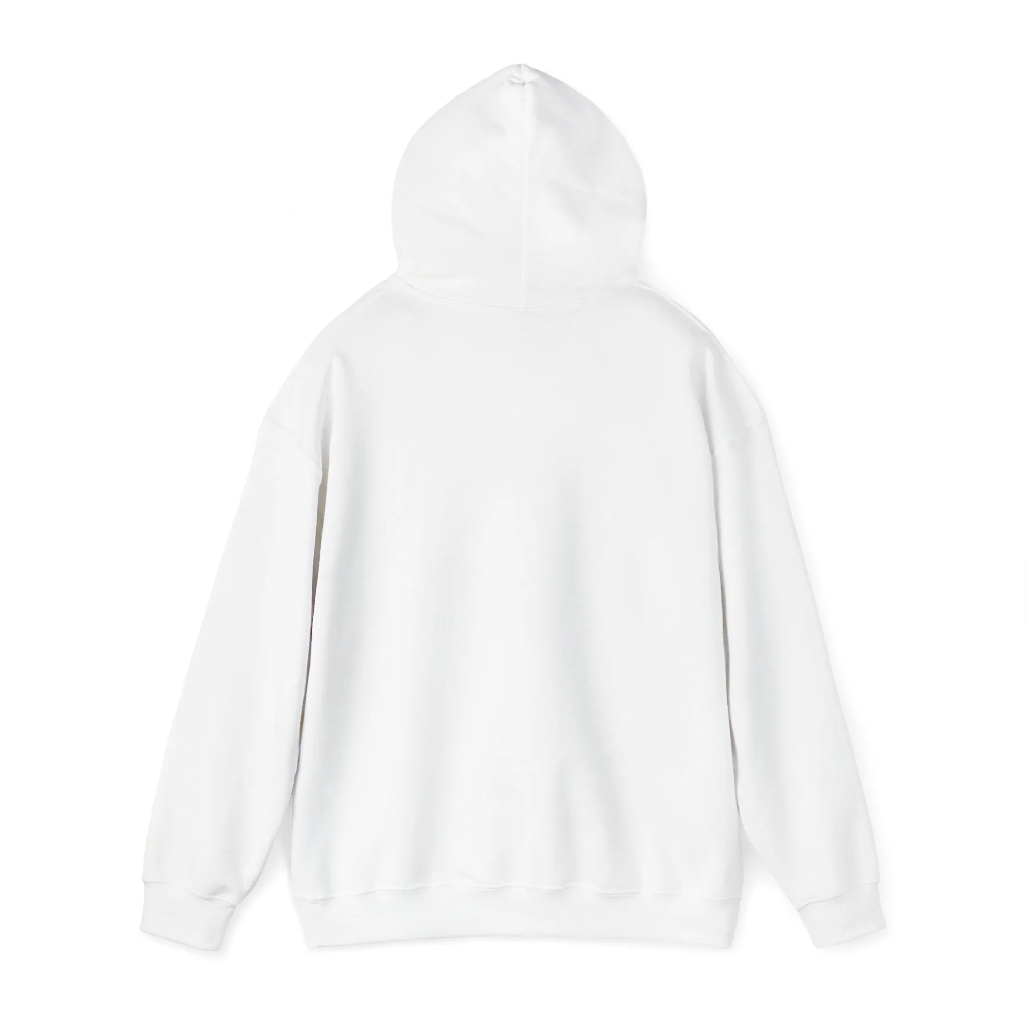 Ain't No Wifey Like the One I Got Hoodie