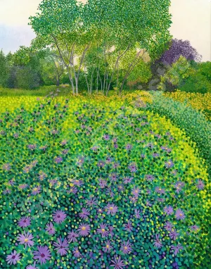 Asters at Wisley Limited Edition Print
