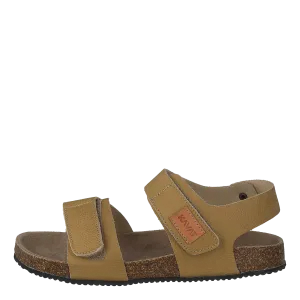 Bomhus Ep Honey Mustard