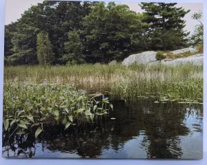 Chippewa Bay Canvas Print
