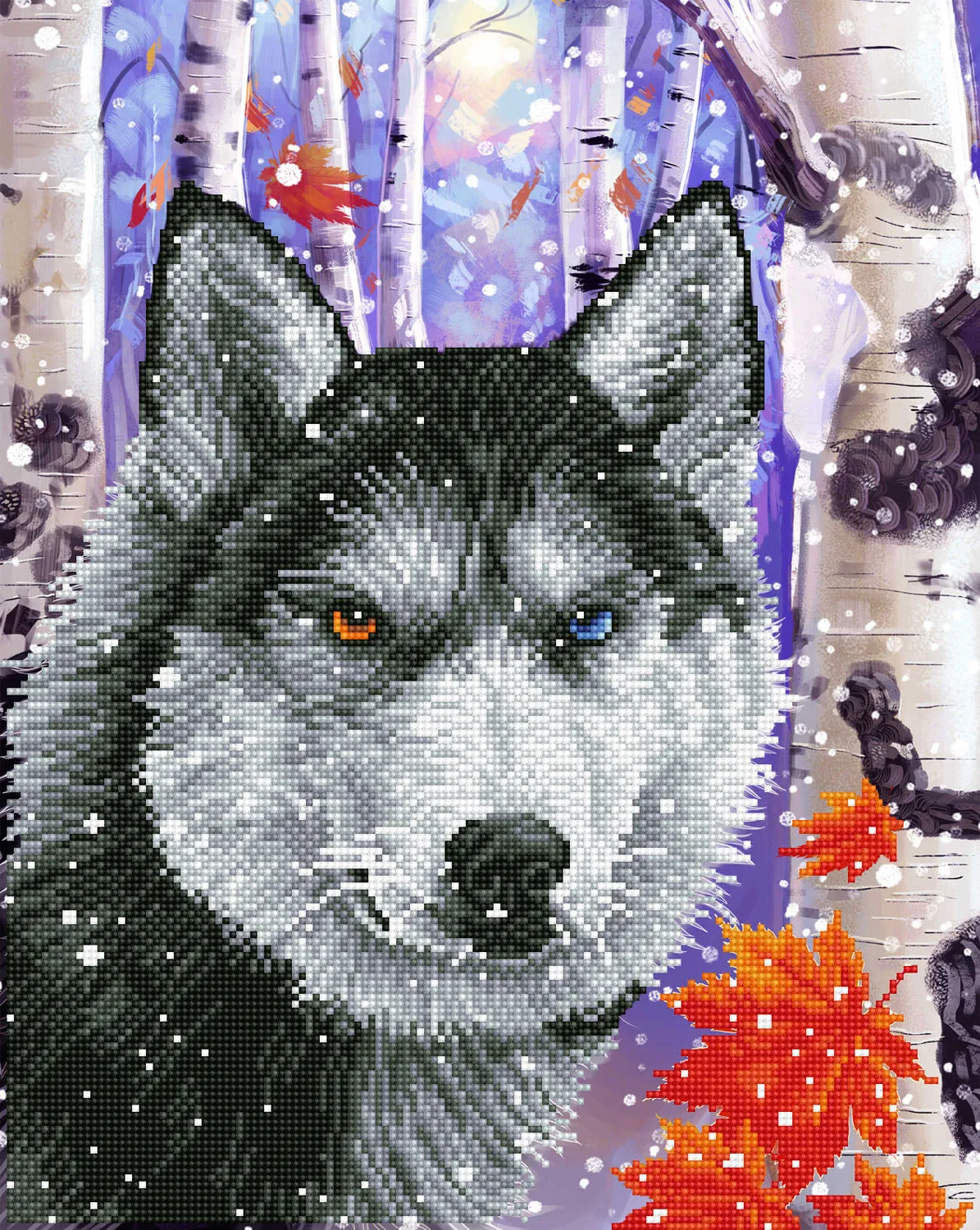 Diamond Dotz Printed Canvas Kit Fabric Needlecrafts 52cm x 42cm - Select Design