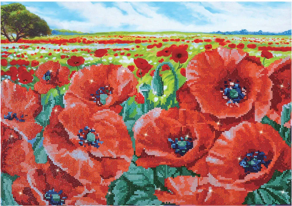 Diamond Dotz Printed Canvas Kit Fabric Needlecrafts 52cm x 42cm - Select Design