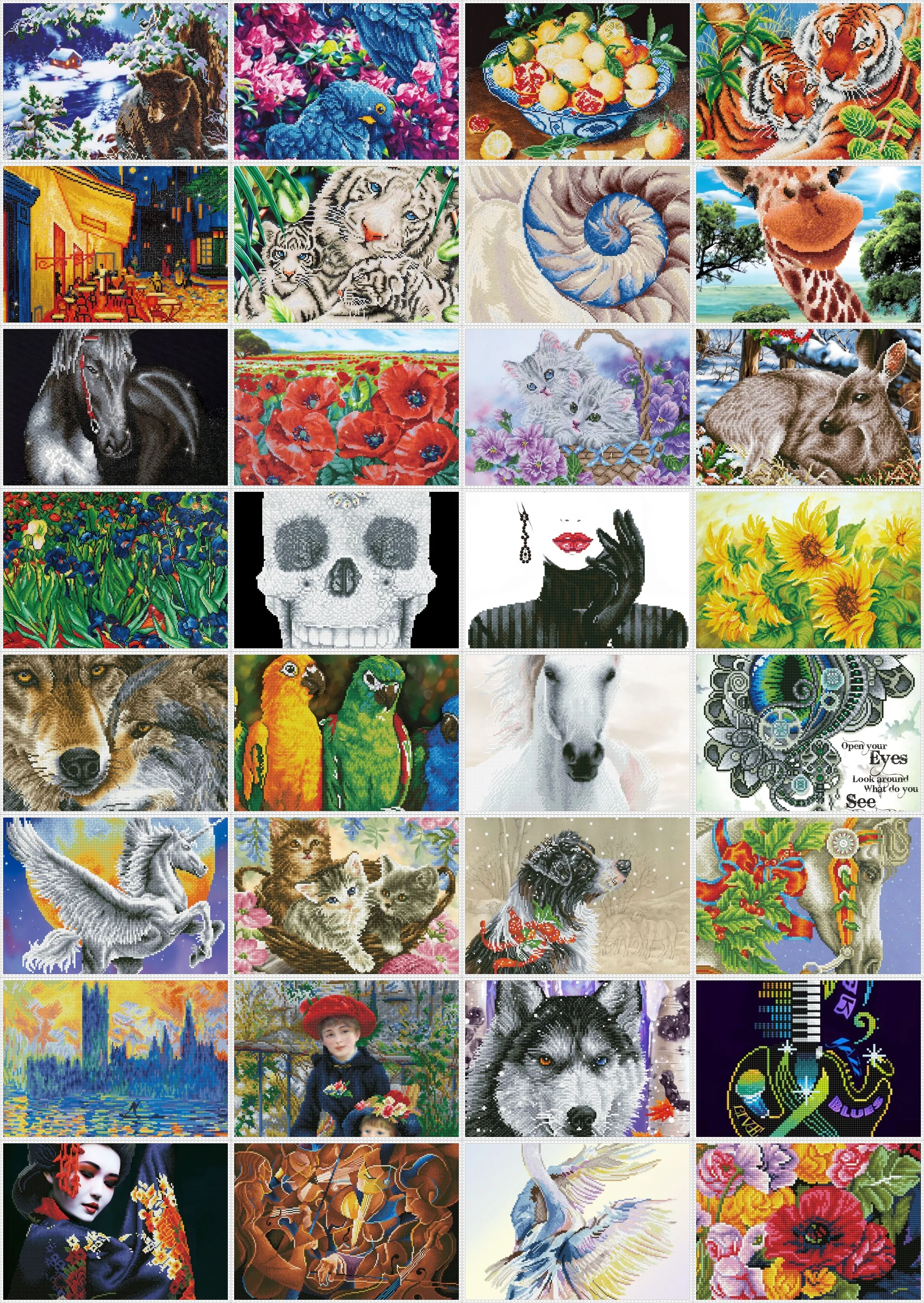 Diamond Dotz Printed Canvas Kit Fabric Needlecrafts 52cm x 42cm - Select Design