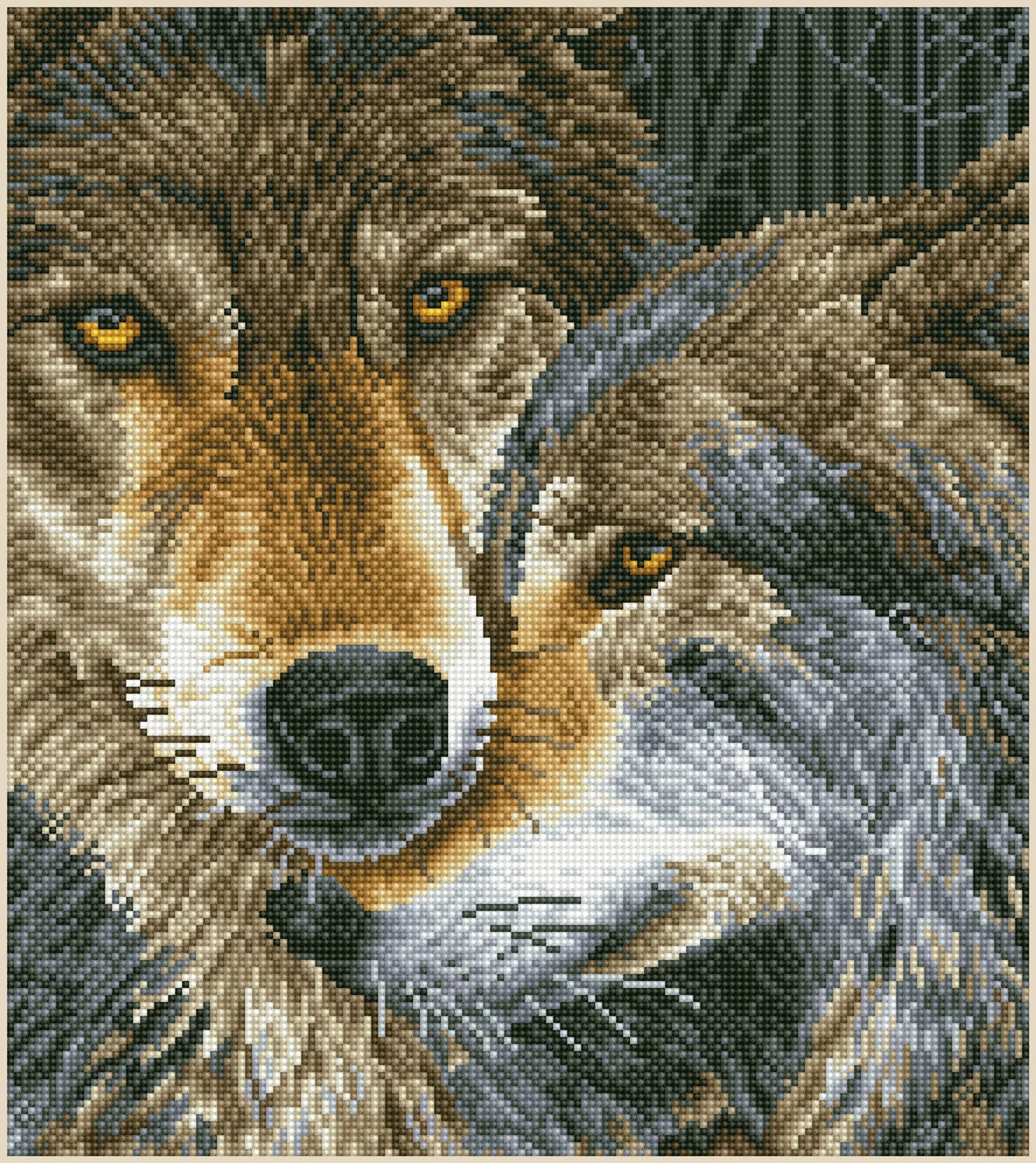 Diamond Dotz Printed Canvas Kit Fabric Needlecrafts 52cm x 42cm - Select Design