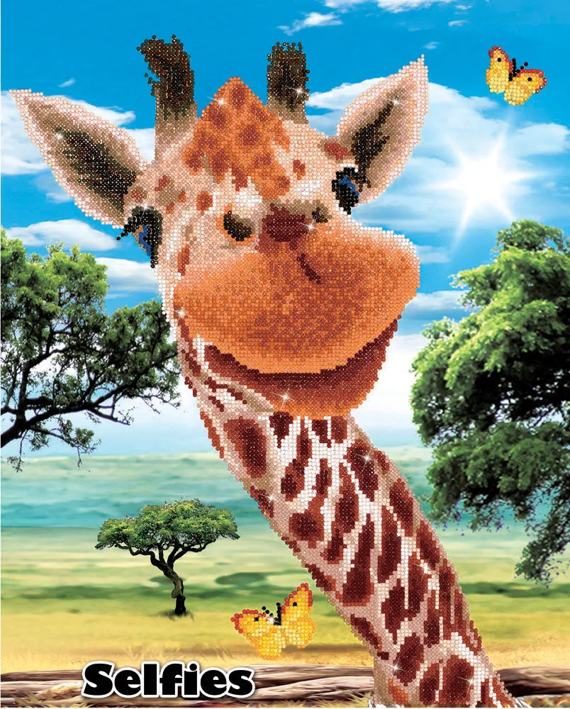 Diamond Dotz Printed Canvas Kit Fabric Needlecrafts 52cm x 42cm - Select Design