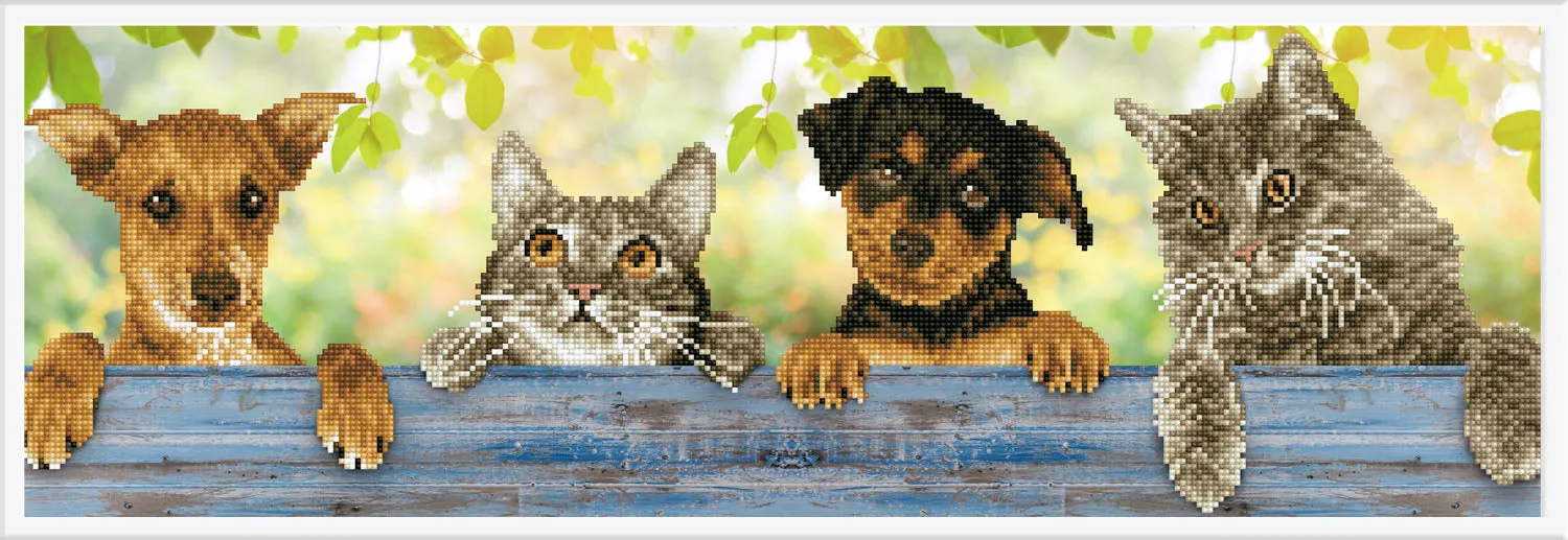 Diamond Dotz Printed Canvas White Frame Needlecrafts 32cm x 32cm - Select Design