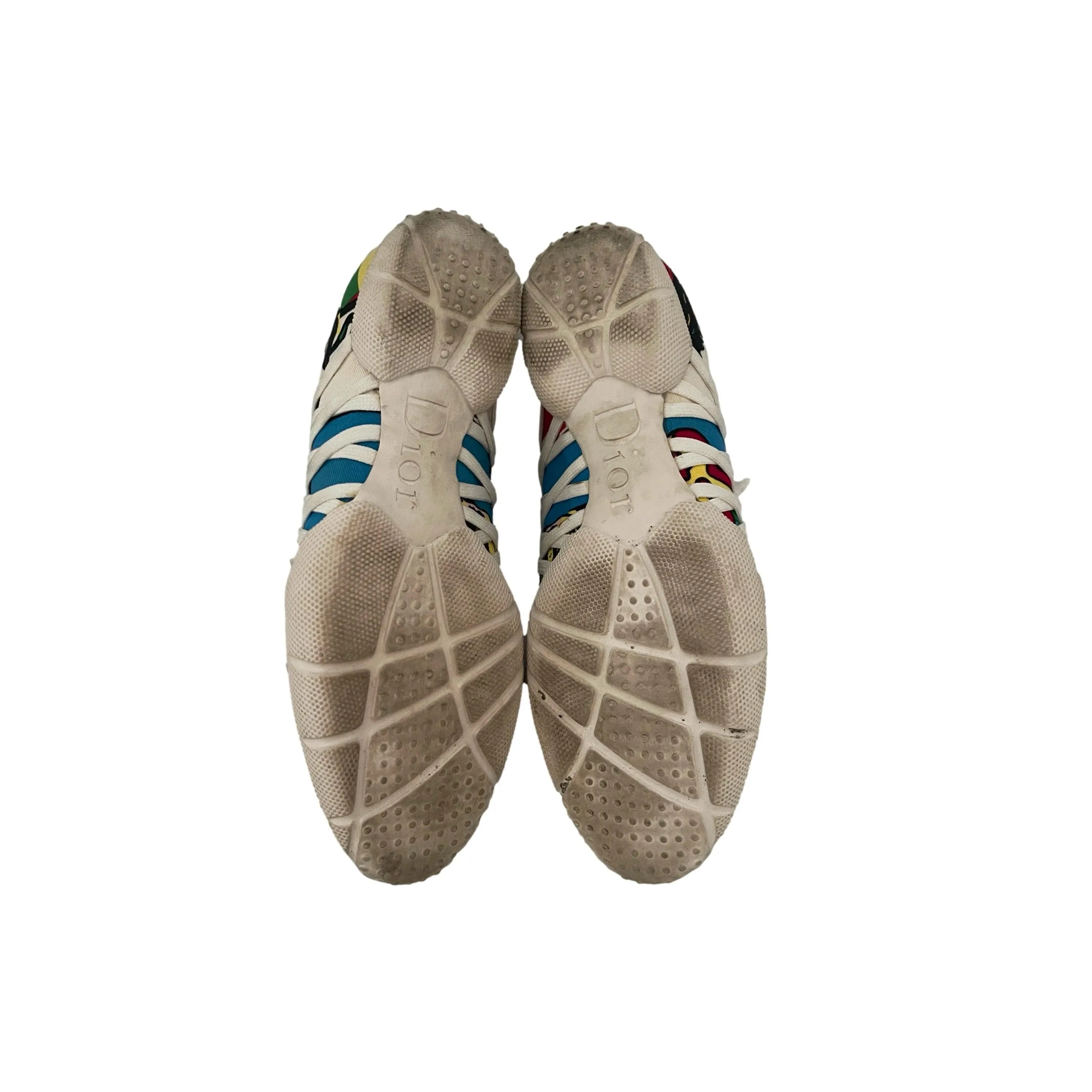 Dior Rasta Print Sneakers
