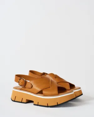 duyba wedge