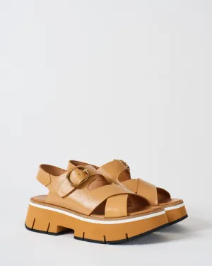duyba wedge