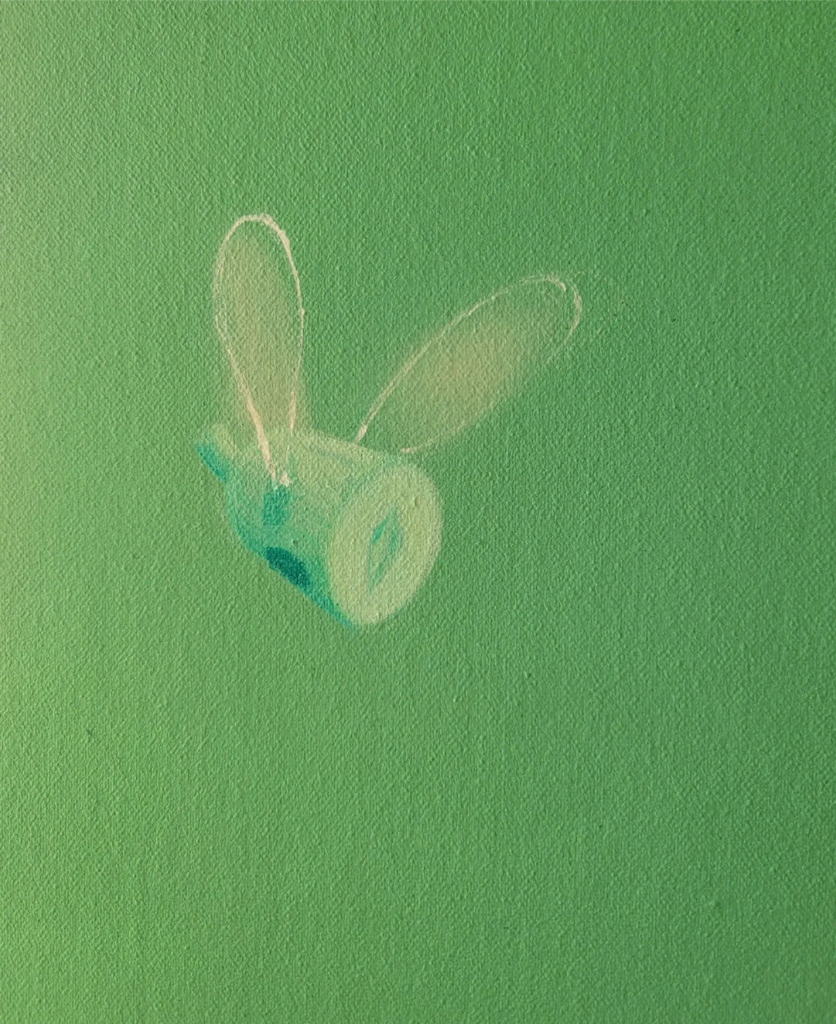 FLY ENAMEL