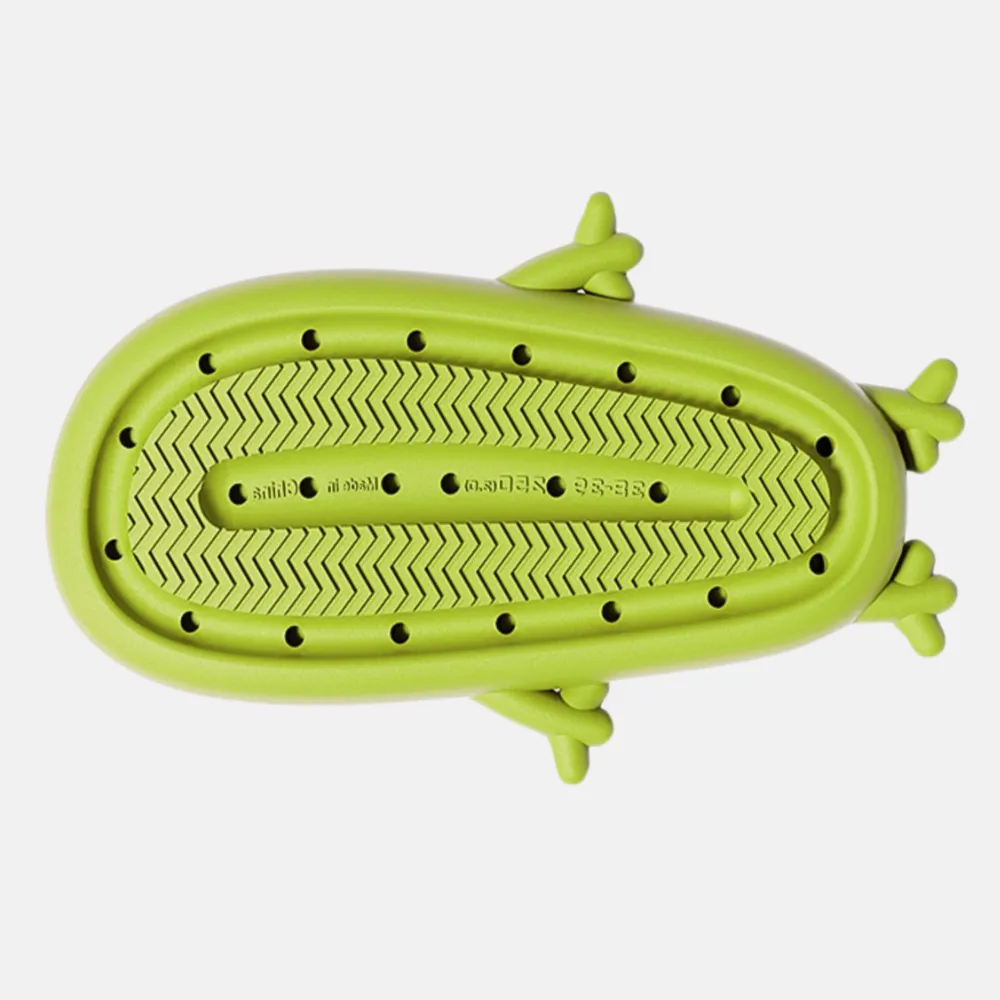 Funny Frog Slippers