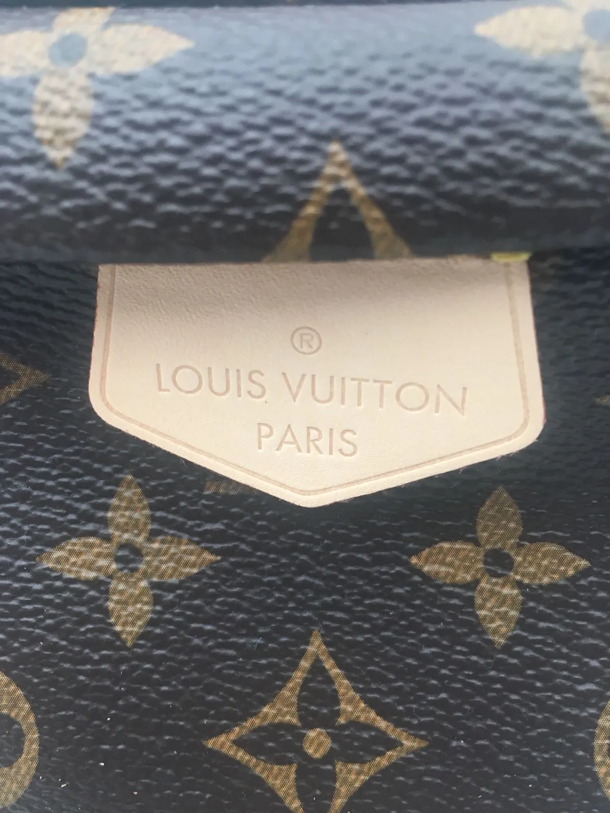 Louis Vuitton | Monogram Bumbag | M43644