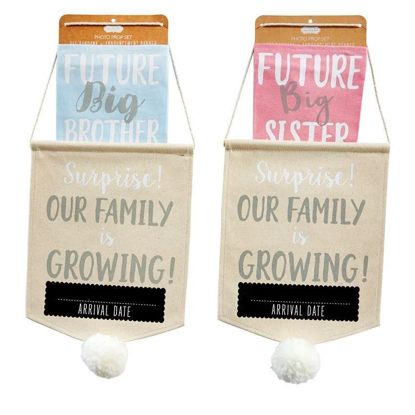 Mud Pie Pet Photo Prop Set "Our Family is Growing" Announcement - Blue