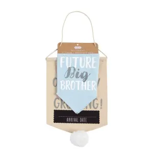 Mud Pie Pet Photo Prop Set "Our Family is Growing" Announcement - Blue
