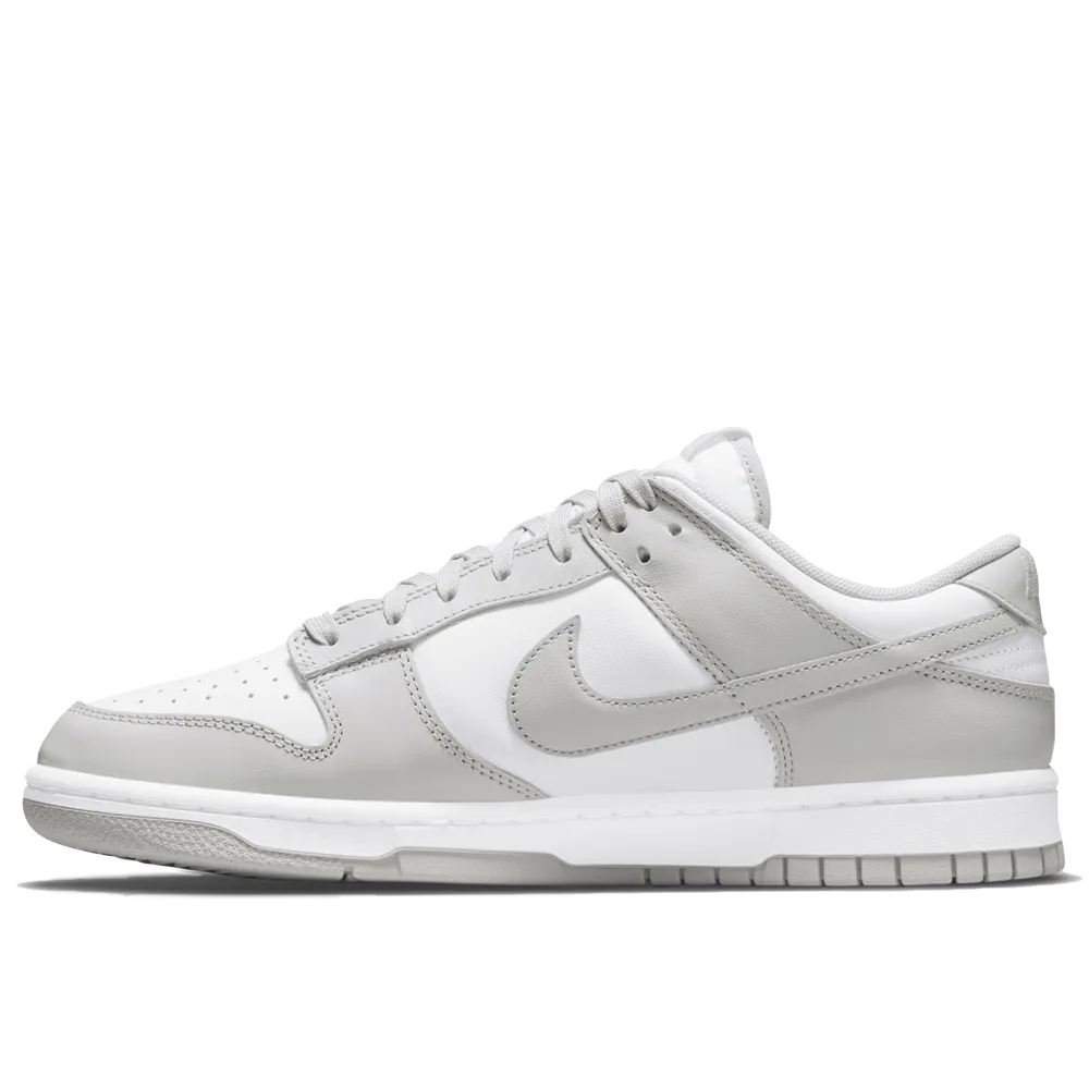 Nike Dunk Low Retro Men's Shoes