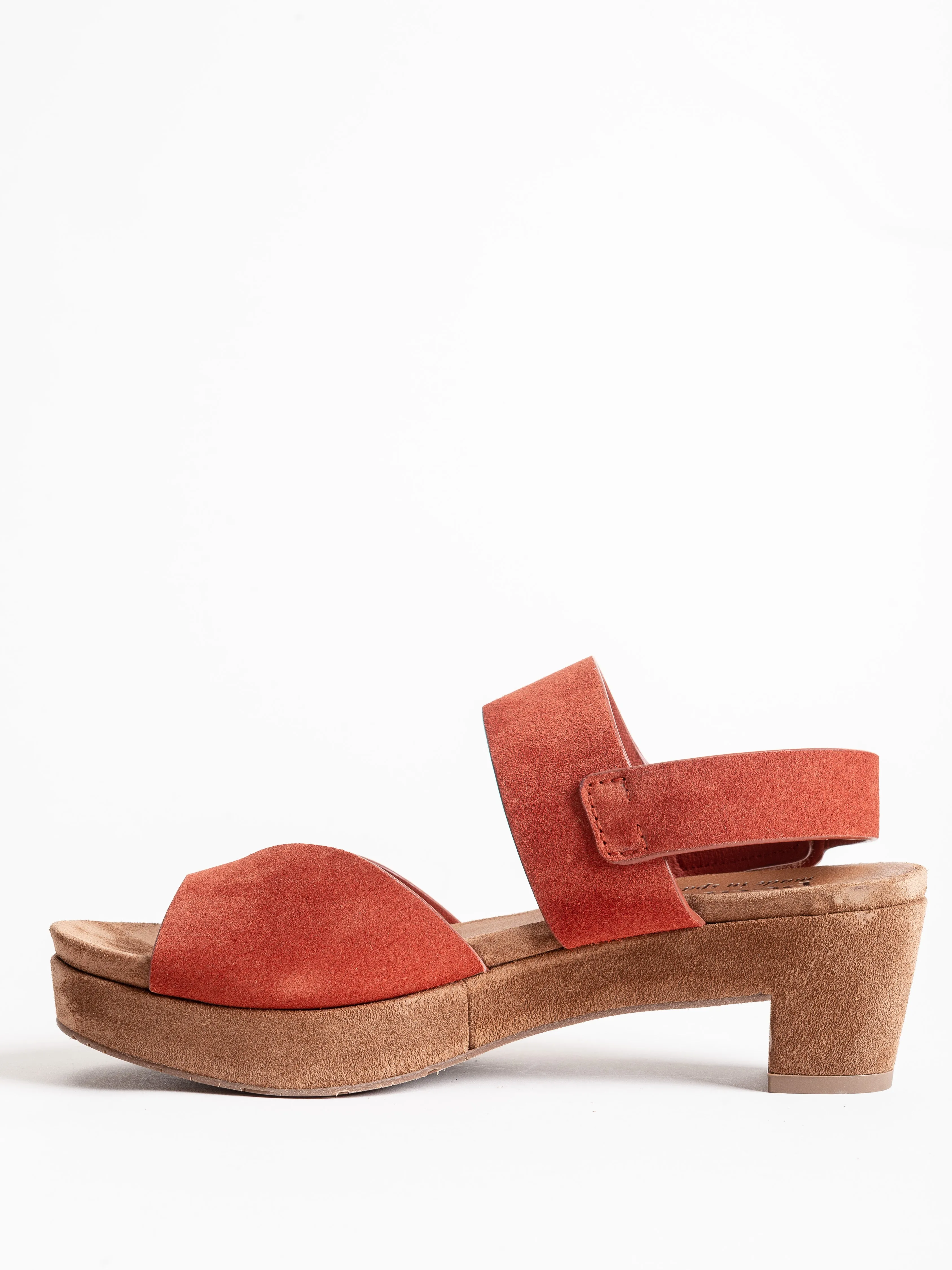 niurka wedge - harissa castoro