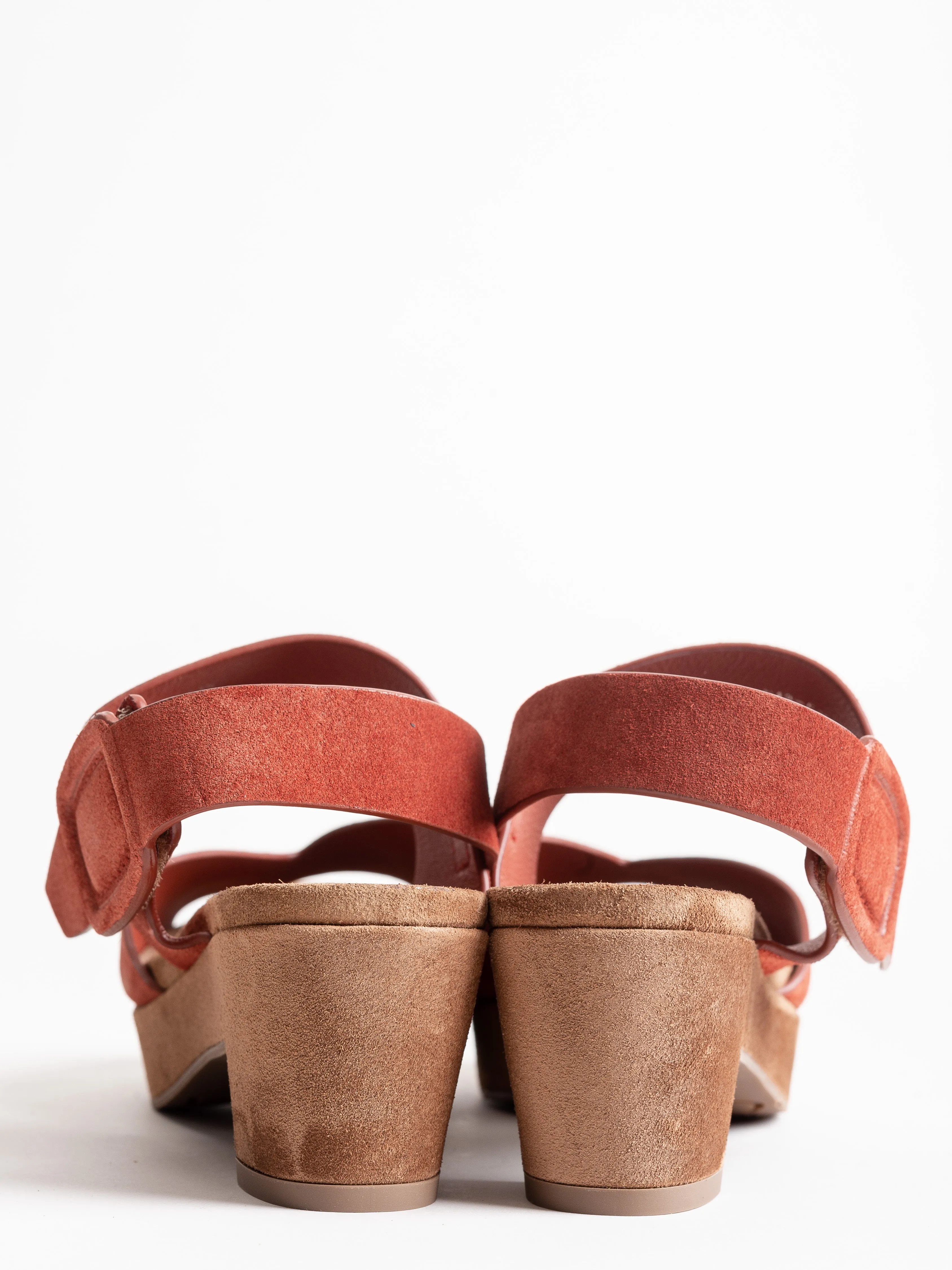 niurka wedge - harissa castoro