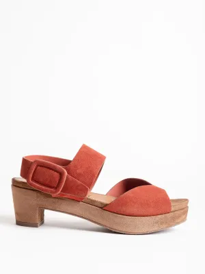 niurka wedge - harissa castoro