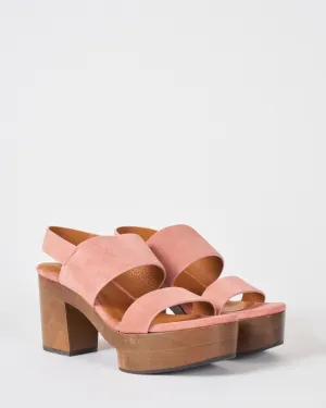 oca clog