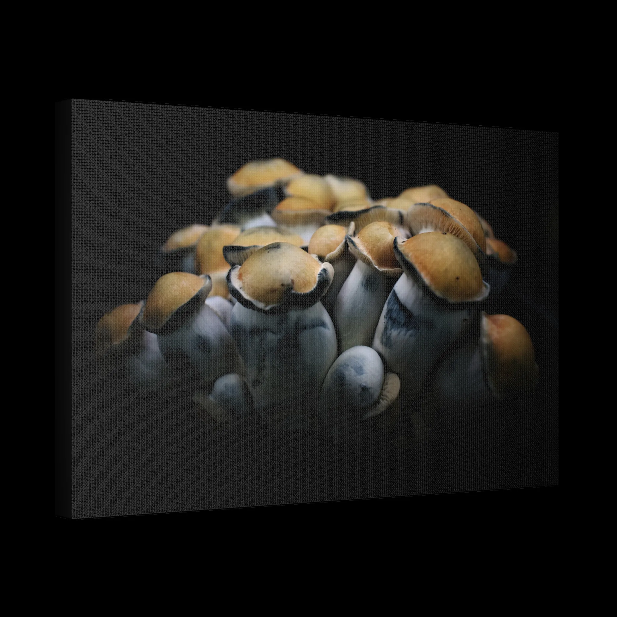 PE Cluster Canvas