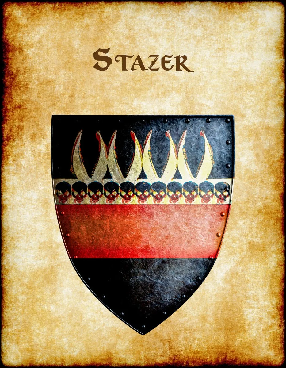 Stazer Heraldry of Greyhawk Anna Meyer Cartography Canvas Art Print