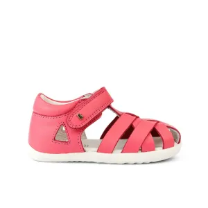 Tropicana II  - Step Up - Guava